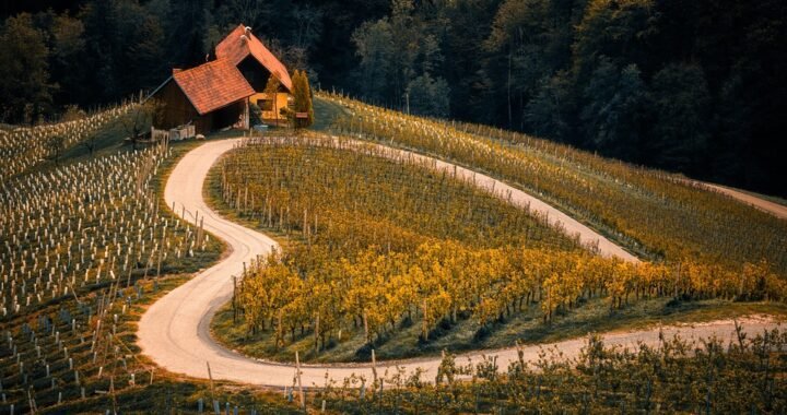 Ejemplos de eslóganes para empresas de seguridad en transporte de carga