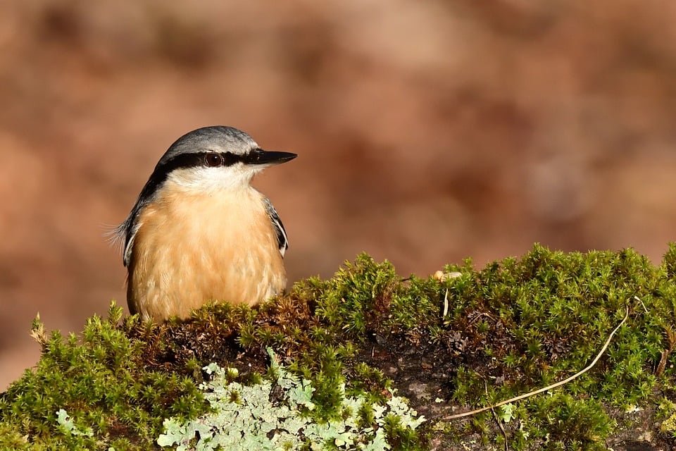 ejemplos de eslóganes para empresas de compra y venta de terrenos