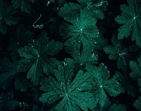 Ejemplos de eslóganes para empresas de agencias de viaje online