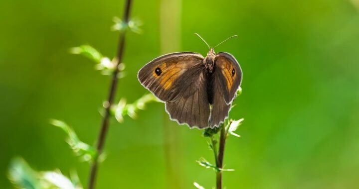 Ejemplos de eslóganes para empresas de agencias de viajes