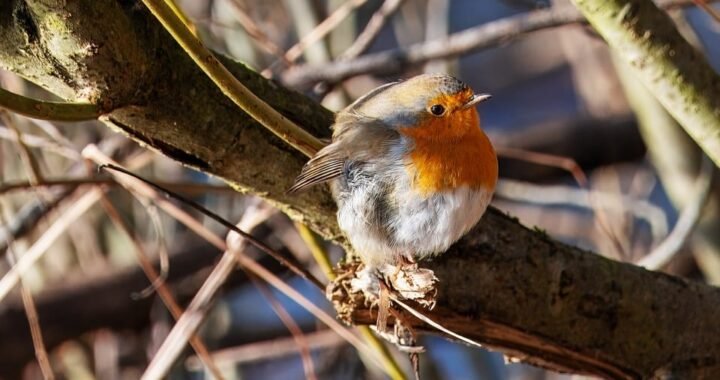 Ejemplos de eslóganes para empresas de agencias de viajes personalizadas