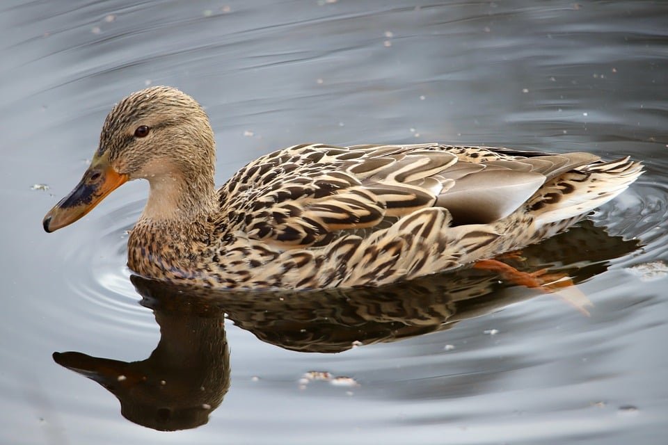 ejemplos de eslóganes para empresas de agricultura de precisión