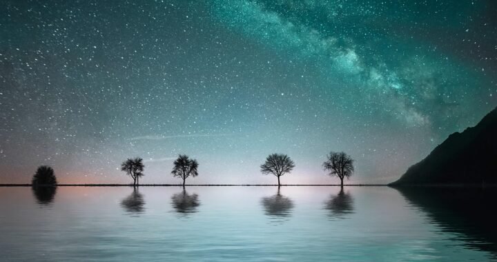 Ejemplos de eslóganes para empresas de agroforestería