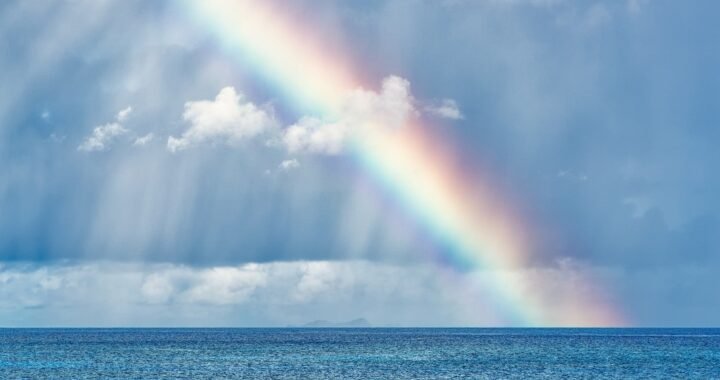 Ejemplos de eslóganes para empresas de almacenamiento de granos