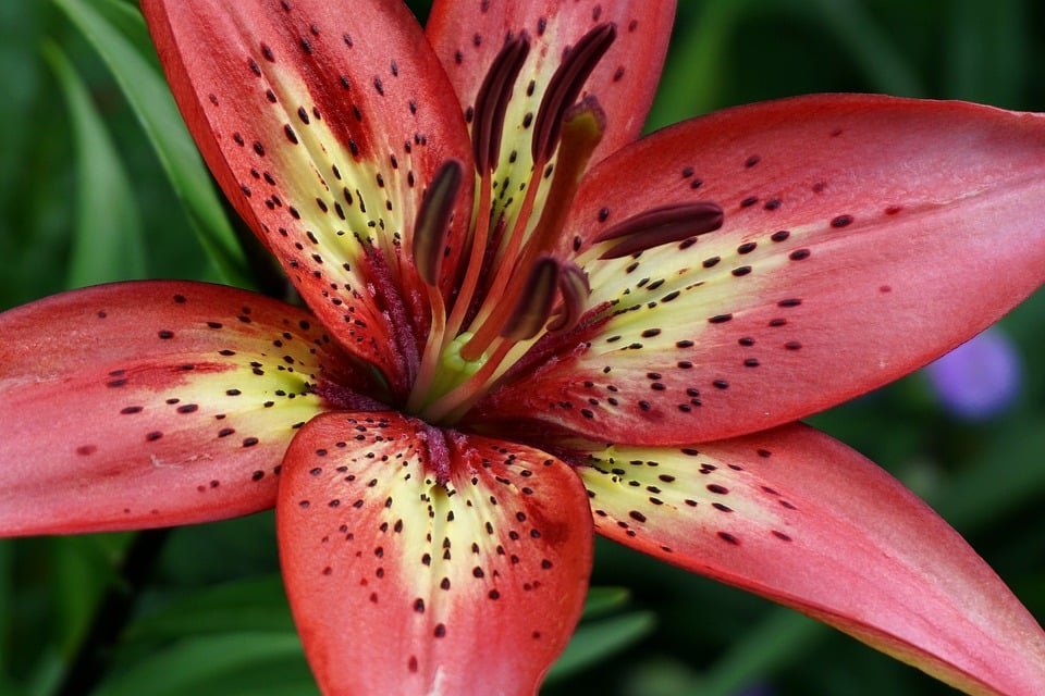 ejemplos de eslóganes para empresas de alquiler de oficinas