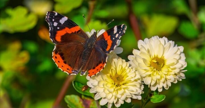 Ejemplos de eslóganes para empresas de alquiler vacacional