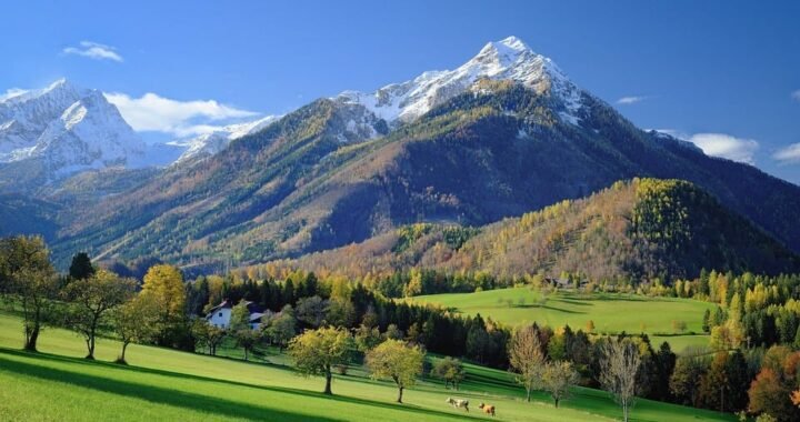 Ejemplos de eslóganes para empresas de análisis de suelos