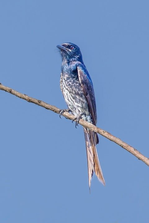 ejemplos de eslóganes para empresas de bioética y regulación sanitaria