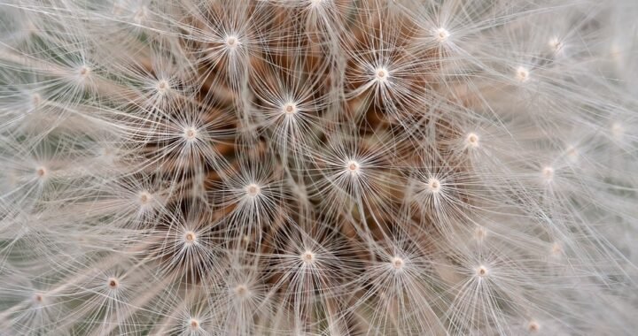 Ejemplos de eslóganes para empresas de botas y botines