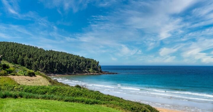 Ejemplos de eslóganes para empresas de cámaras de seguridad