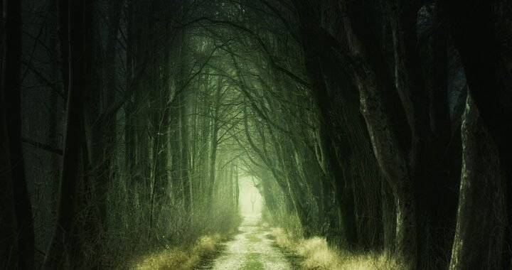 Ejemplos de eslóganes para empresas de certificación y acreditación médica