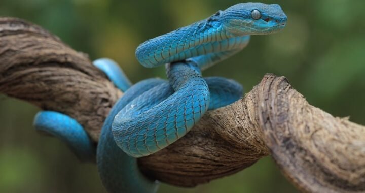 Ejemplos de eslóganes para empresas de ciberseguridad para pymes