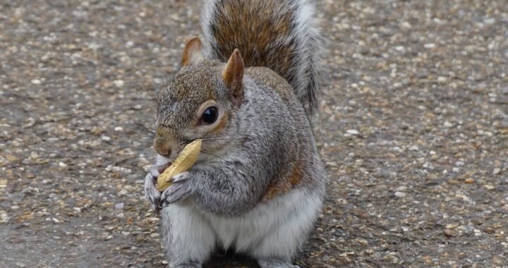 Ejemplos de eslóganes para empresas de compostaje y abono orgánico