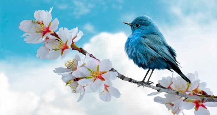 Ejemplos de eslóganes para empresas de construcción de mobiliario urbano