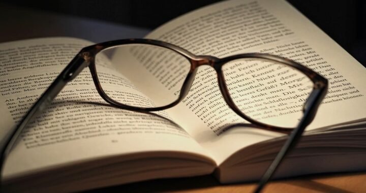 Ejemplos de eslóganes para empresas de construcción de parques y jardines