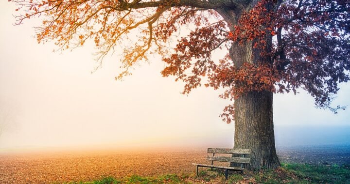 Ejemplos de eslóganes para empresas de control de aduanas y migración