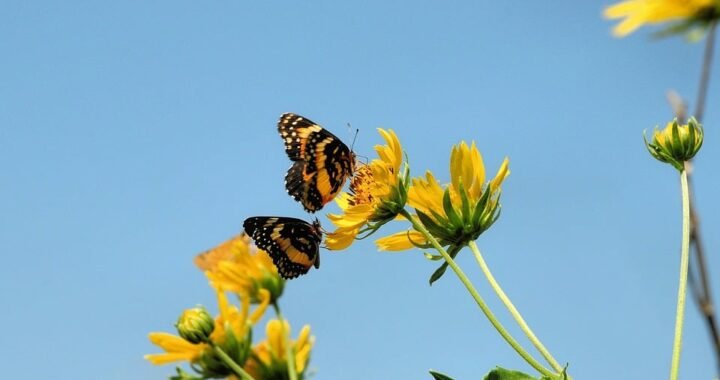Ejemplos de eslóganes para empresas de control de incendios