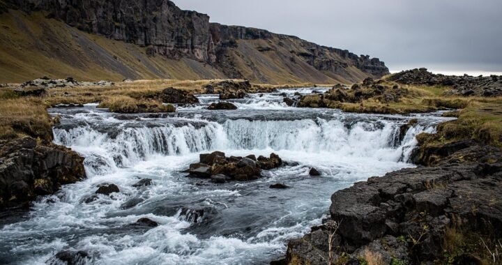 Ejemplos de eslóganes para empresas de control de peso y dietética