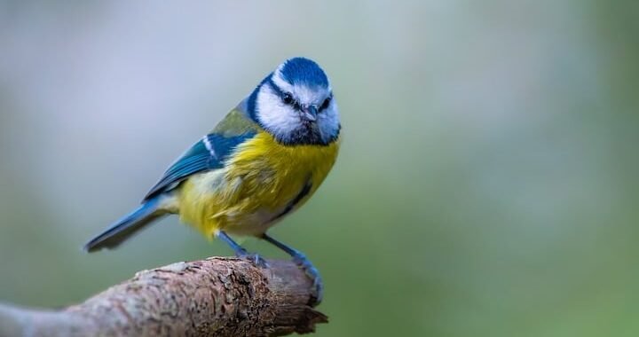 Ejemplos de eslóganes para empresas de coordinación de producción audiovisual