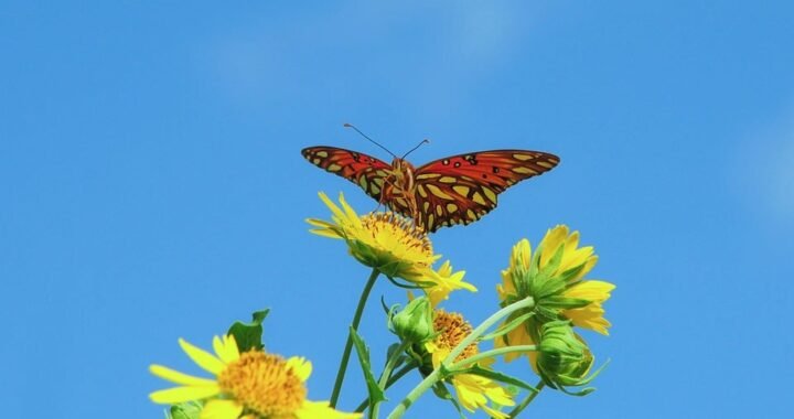 Ejemplos de eslóganes para empresas de cultivos verticales