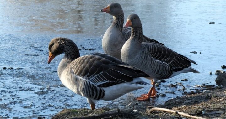 Ejemplos de eslóganes para empresas de cursos de contabilidad y finanzas