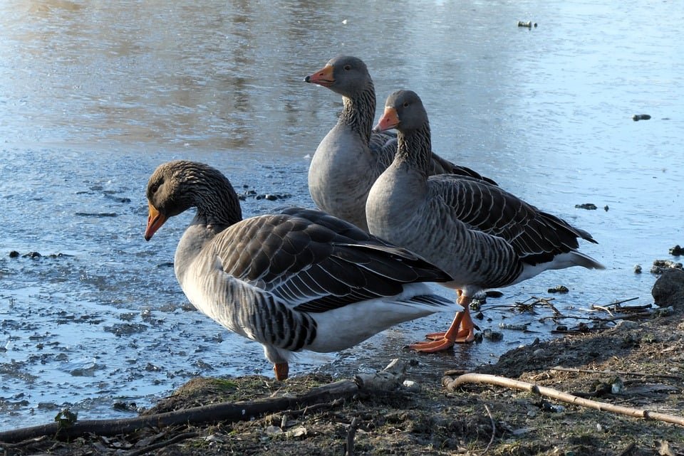 ejemplos de eslóganes para empresas de cursos de contabilidad y finanzas