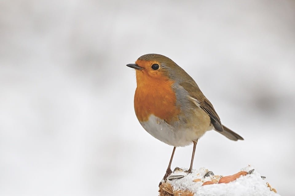 ejemplos de eslóganes para empresas de cursos de fotografía
