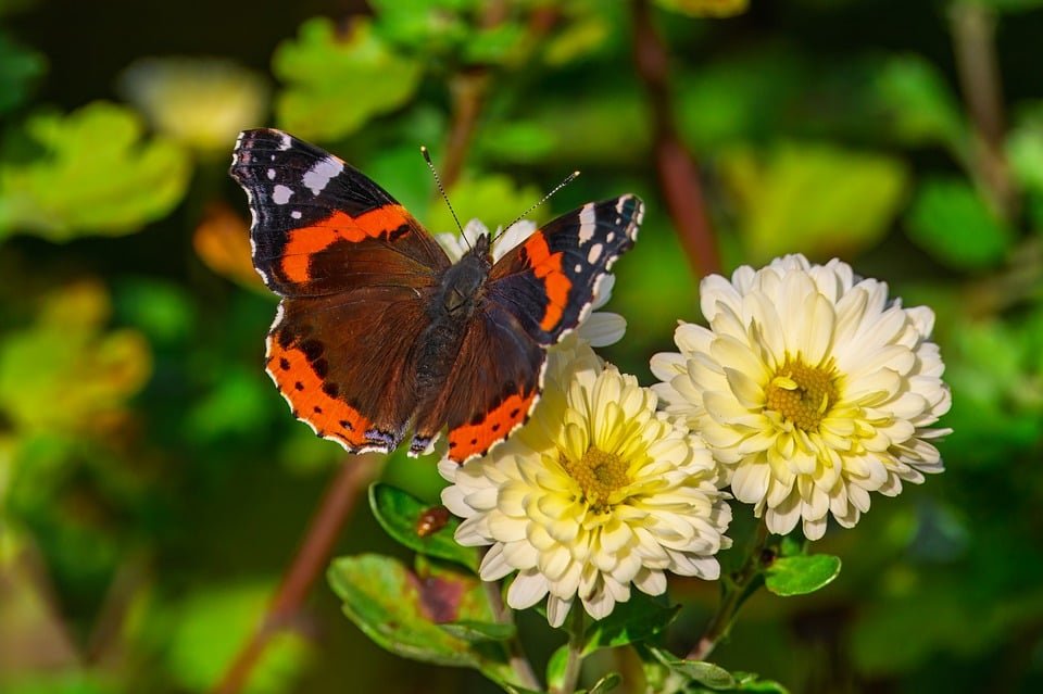ejemplos de eslóganes para empresas de cursos de liderazgo