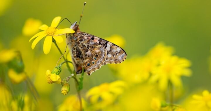 Ejemplos de eslóganes para empresas de defensa cibernética gubernamental