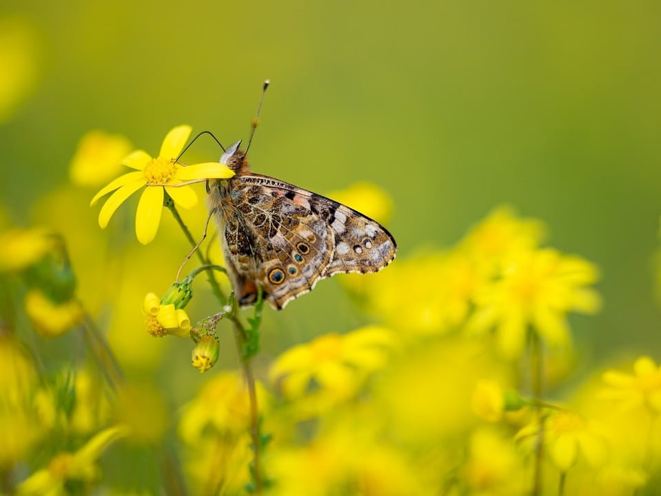 ejemplos de eslóganes para empresas de defensa cibernética gubernamental