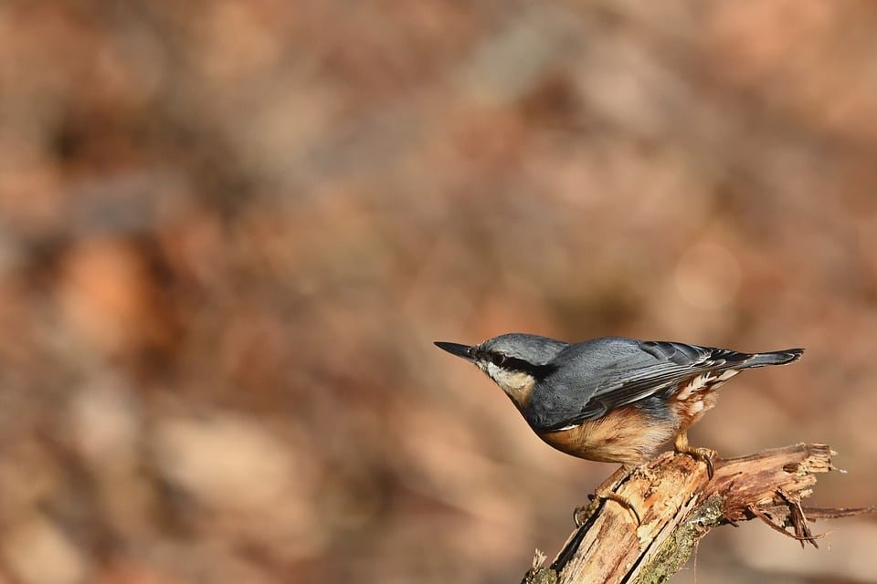 ejemplos de eslóganes para empresas de demoliciones