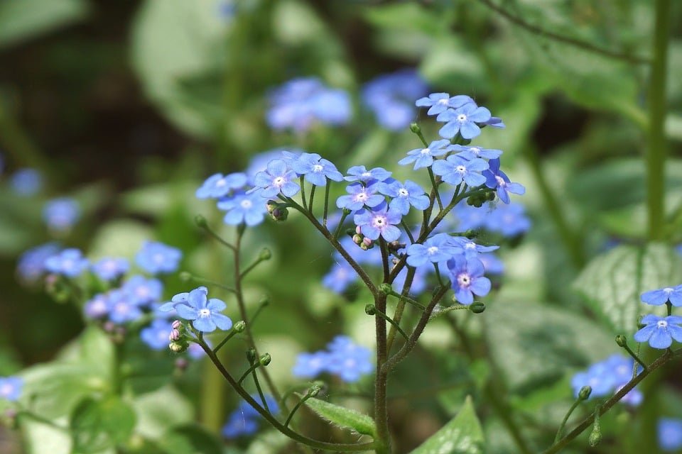 ejemplos de eslóganes para empresas de educación artística