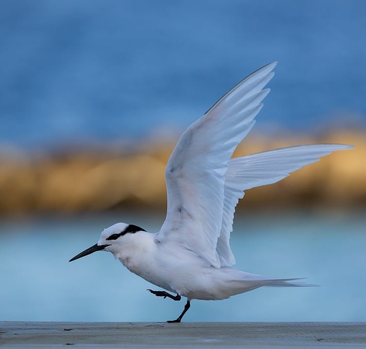 ejemplos de eslóganes para empresas de educación en creatividad e innovación