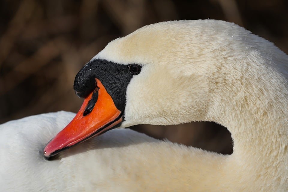ejemplos de eslóganes para empresas de educación en economía circular