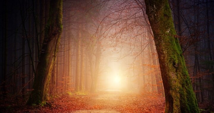 Ejemplos de eslóganes para empresas de educación en gamificación