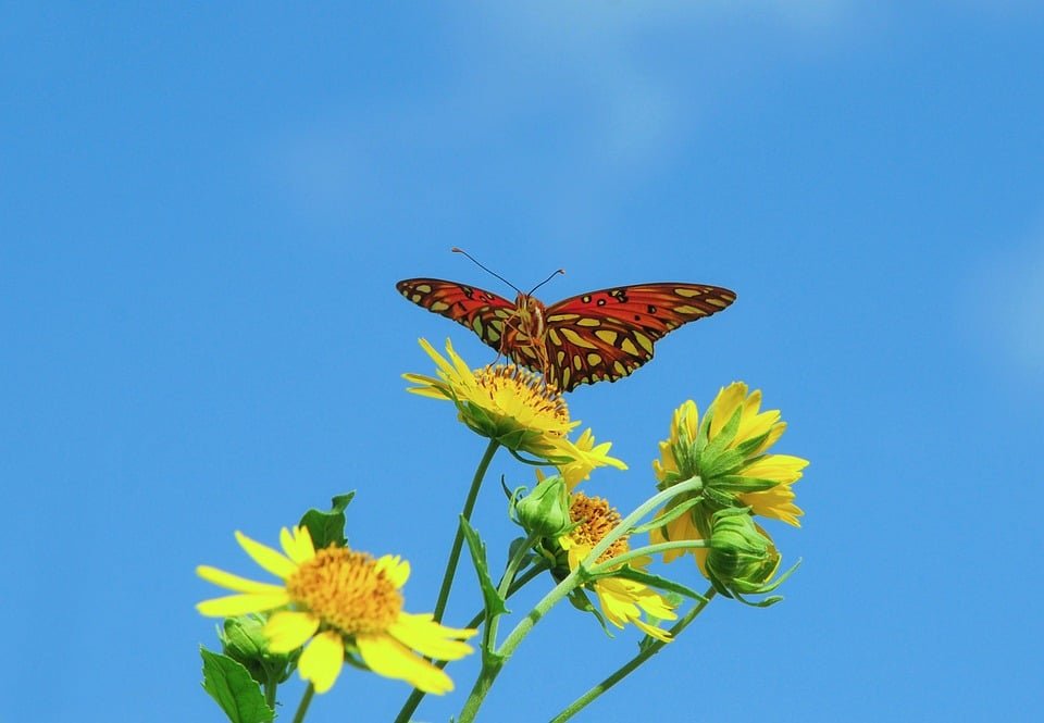 ejemplos de eslóganes para empresas de educación en inteligencia artificial aplicada