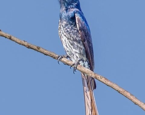 Ejemplos de eslóganes para empresas de efectos de iluminación y sonido