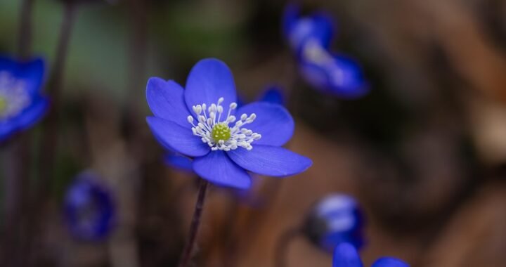 Ejemplos de eslóganes para empresas de equipos de guerra electrónica