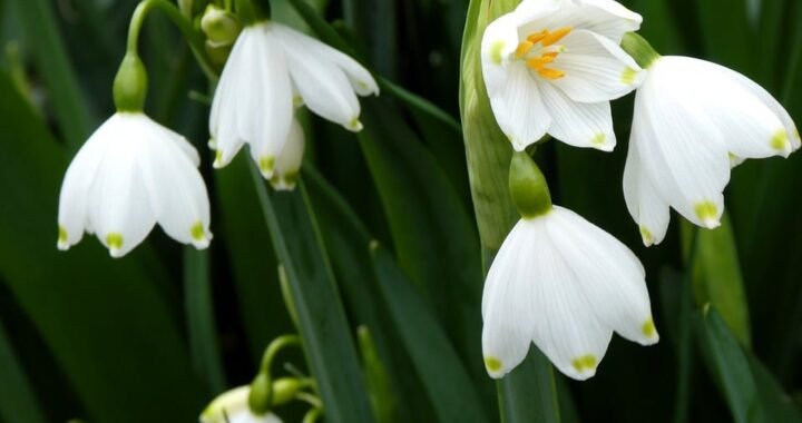 Ejemplos de eslóganes para empresas de excavaciones y movimientos de tierra