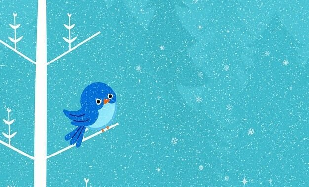 Ejemplos de eslóganes para empresas de excursiones en barco