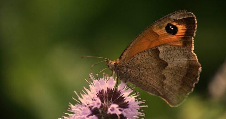 Ejemplos de eslóganes para empresas de firewall y protección de datos