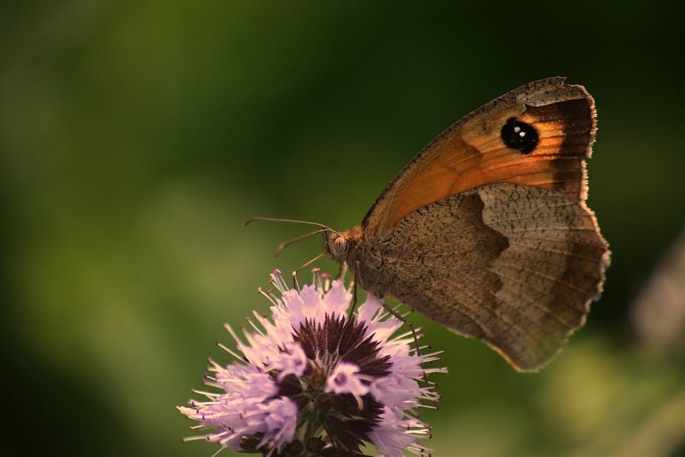 ejemplos de eslóganes para empresas de firewall y protección de datos