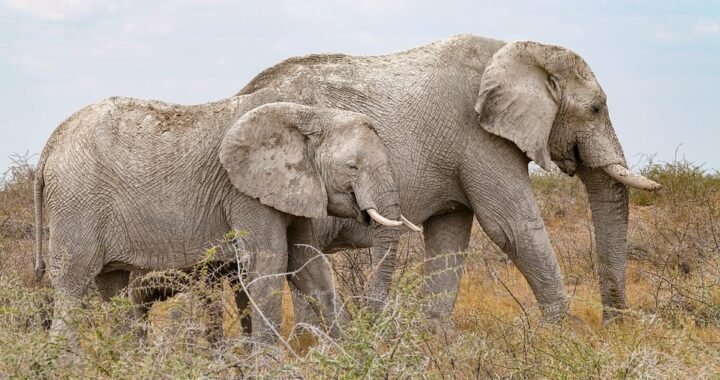 Ejemplos de eslóganes para empresas de formación en metodologías ágiles