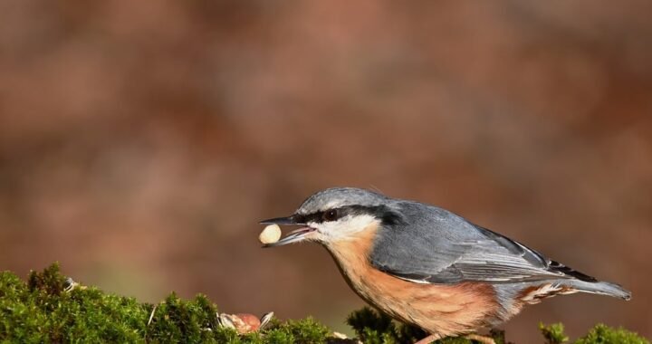 Ejemplos de eslóganes para empresas de formación en recursos humanos