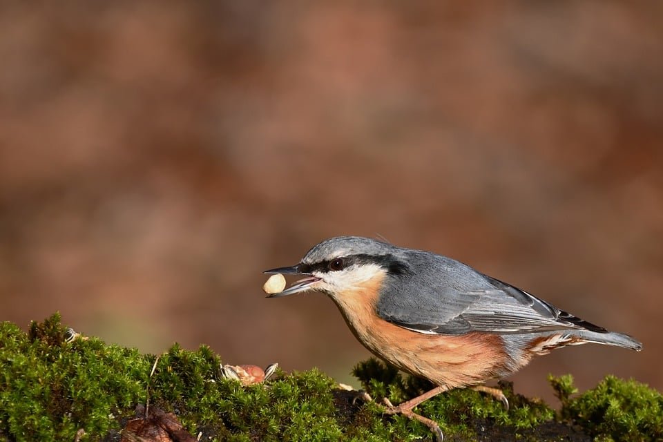 ejemplos de eslóganes para empresas de formación en recursos humanos