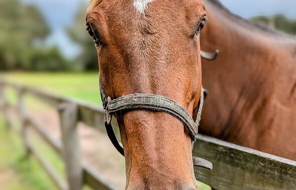 Ejemplos de eslóganes para empresas de generación de contenido con IA
