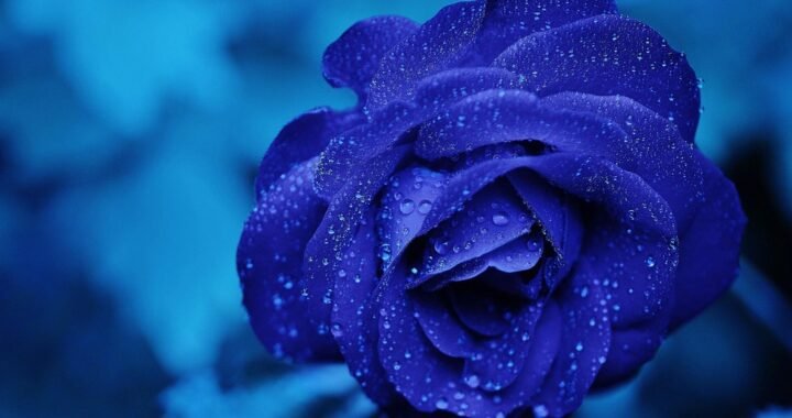 Ejemplos de eslóganes para empresas de generación de imágenes y videos con IA