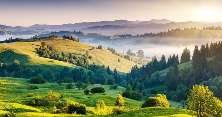 Ejemplos de eslóganes para empresas de gestión de derechos de imagen