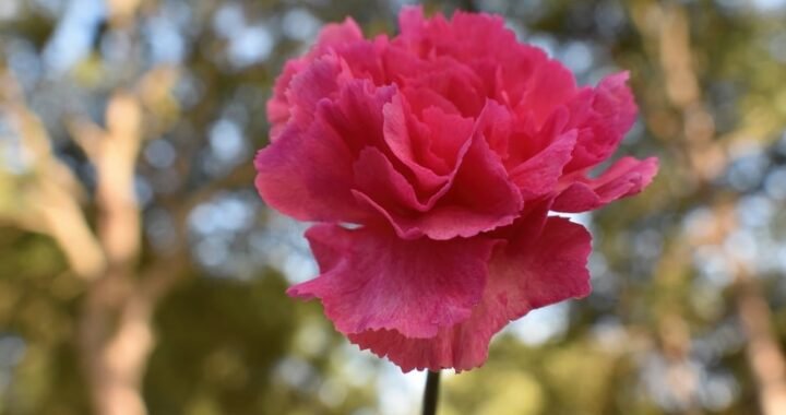 Ejemplos de eslóganes para empresas de guías turísticos