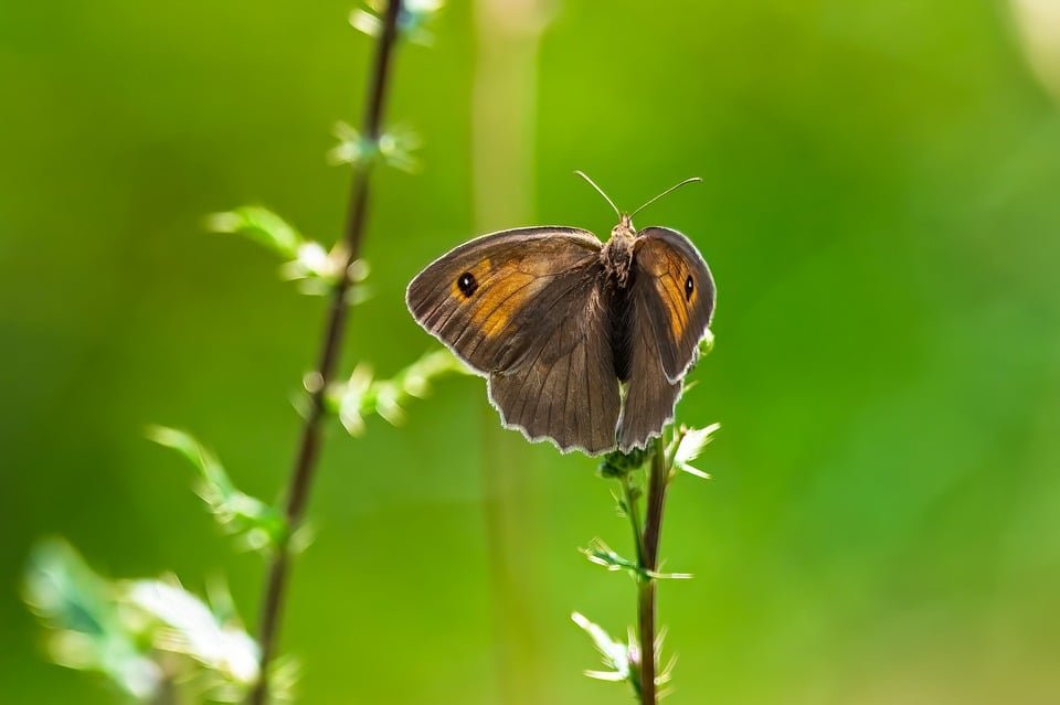 ejemplos de eslóganes para empresas de home staging